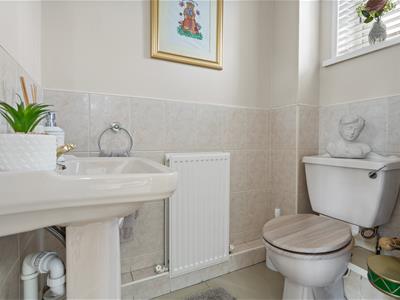 Picture 15